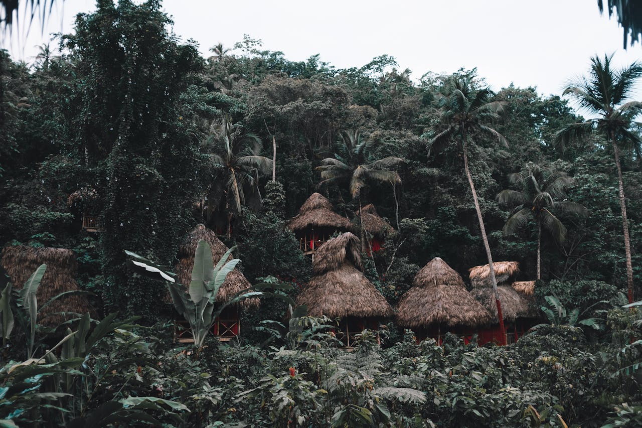 Discover traditional thatched huts nestled in the vibrant tropical forest of Samana Province.